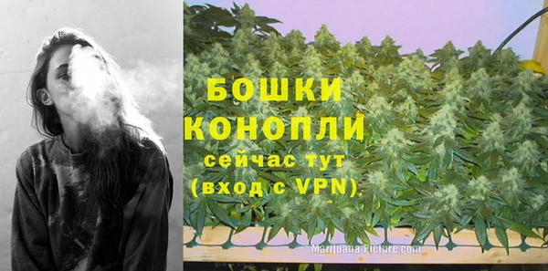 крисы Дегтярск