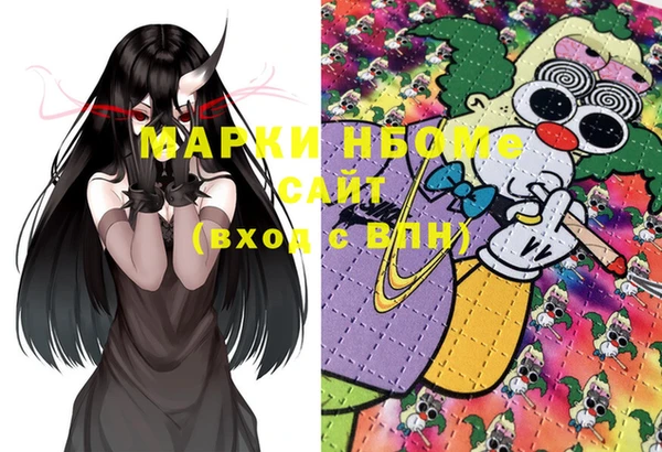 крисы Белокуриха