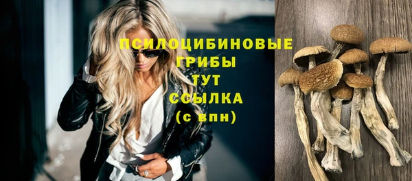 a pvp Арсеньев
